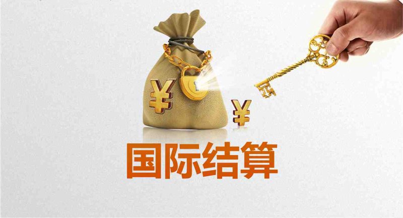 货代软件哪家强?——以海外采购商视角对比分析